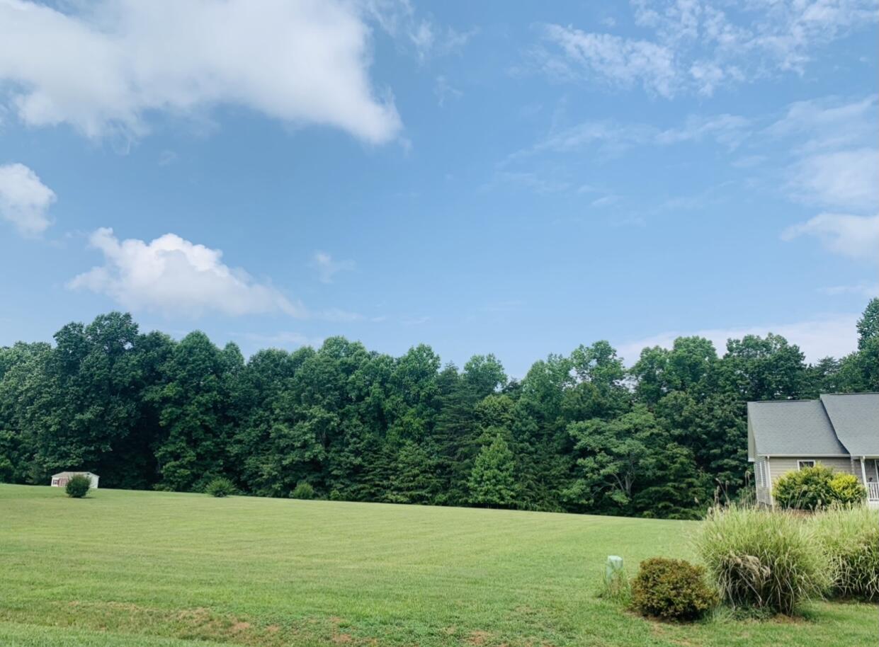 Lot 3 Mallard Point Road Wirtz, VA 24184 - Photo 5 of 12 a view of a garden with trees