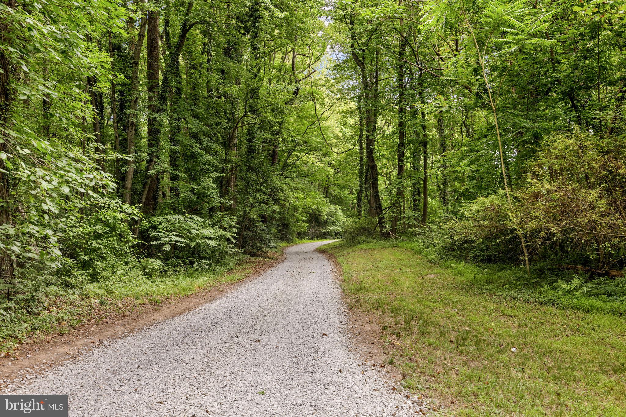 17070 Good Hope Road King George, VA 22485 - Photo 61 of 102