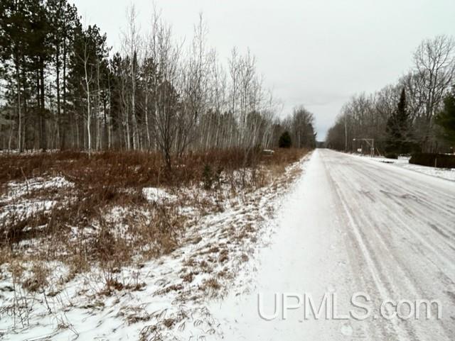 Tbd4 Larson Road Atlantic Mine, MI 49905 - Photo 9 of 41 Gallery Image 9