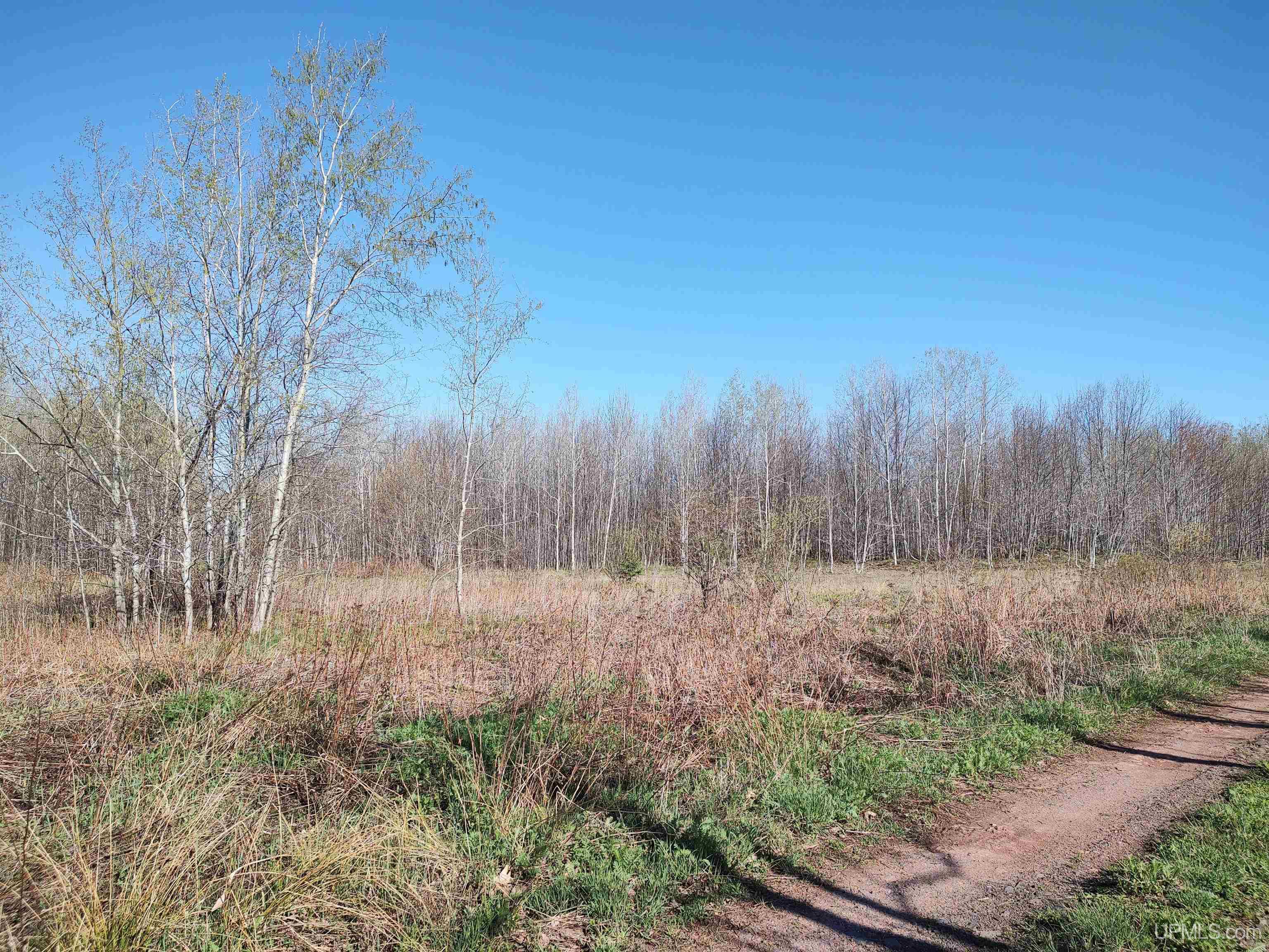 Tbd Tbd Schooner Road Ontonagon, MI 49953 - Photo 13 of 44