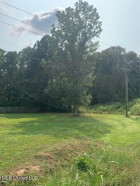 3049 Pleasant Hill Road Nesbit, MS 38651 - Photo 14 of 20 thumbnail_IMG_1504