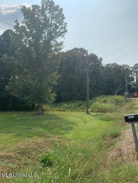 3049 Pleasant Hill Road Nesbit, MS 38651 - Photo 15 of 20 thumbnail_IMG_1505