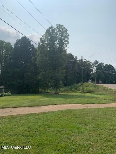 3049 Pleasant Hill Road Nesbit, MS 38651 - Photo 7 of 20 thumbnail_IMG_1489