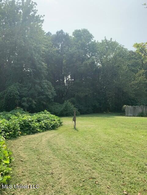 3049 Pleasant Hill Road Nesbit, MS 38651 - Photo 10 of 20 thumbnail_IMG_1493