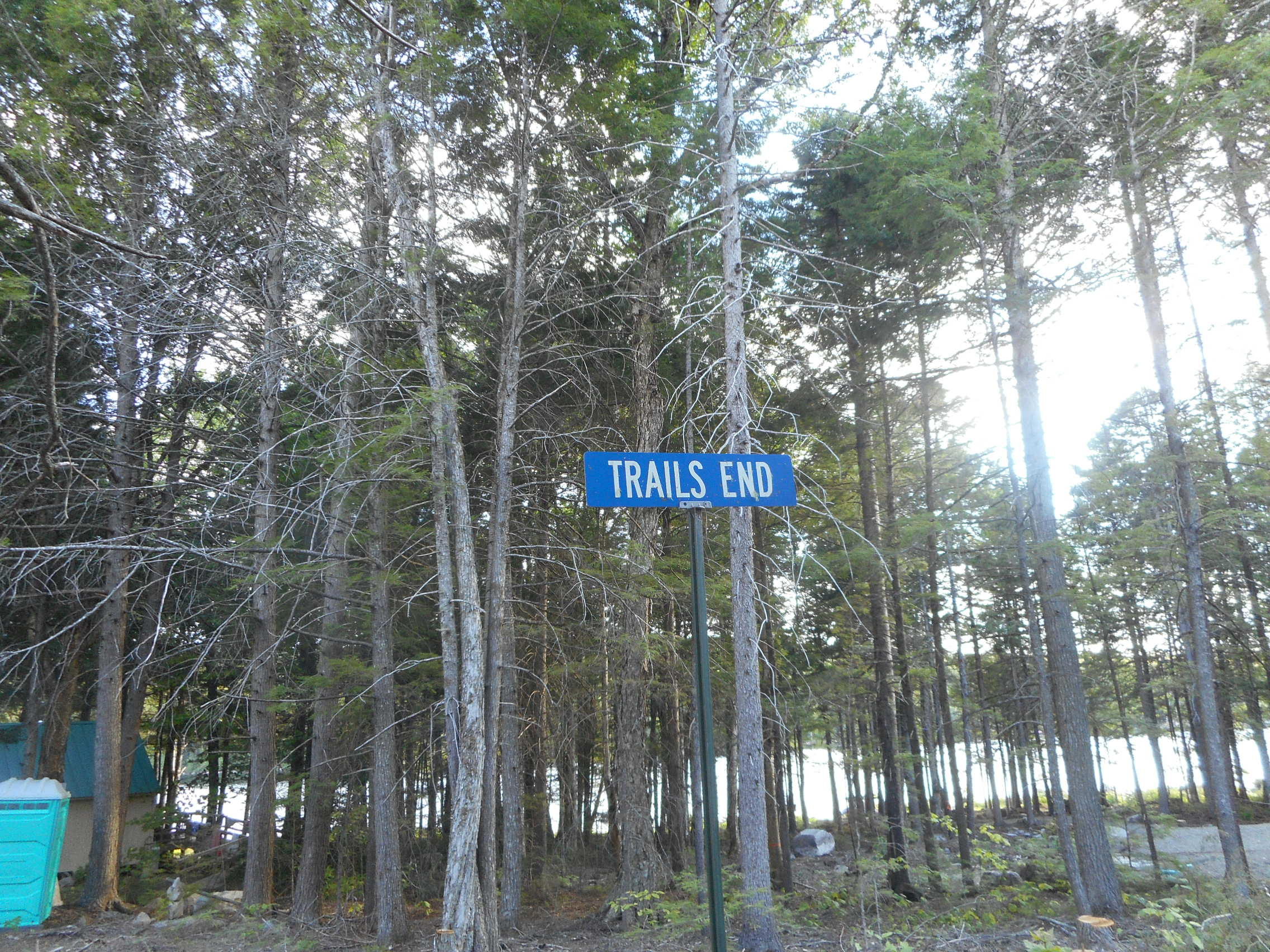 Tbd Trail End Road Lincoln, ME 04457 - Photo 12 of 13 DSCN2603