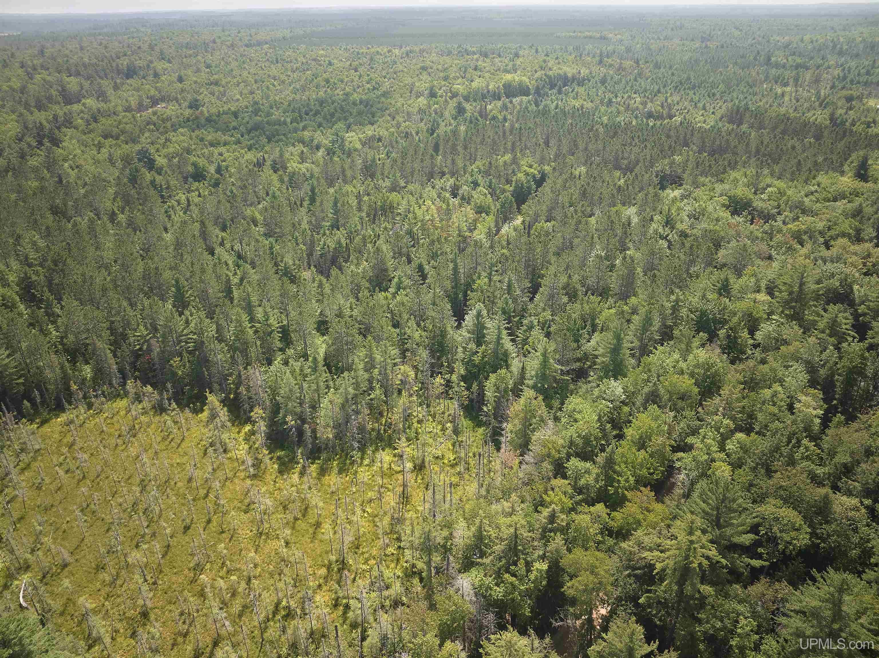 E7163 Doe Lake Road, Unit E5644 AUTRAIN RIVERVIEW Munising, MI 49862 - Photo 9 of 27 Gallery Image 9
