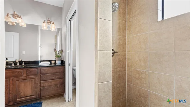 a bathroom with a granite countertop sink a mirror and a shower