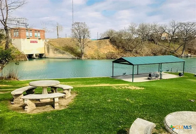 a view of a backyard with a garden and plants
