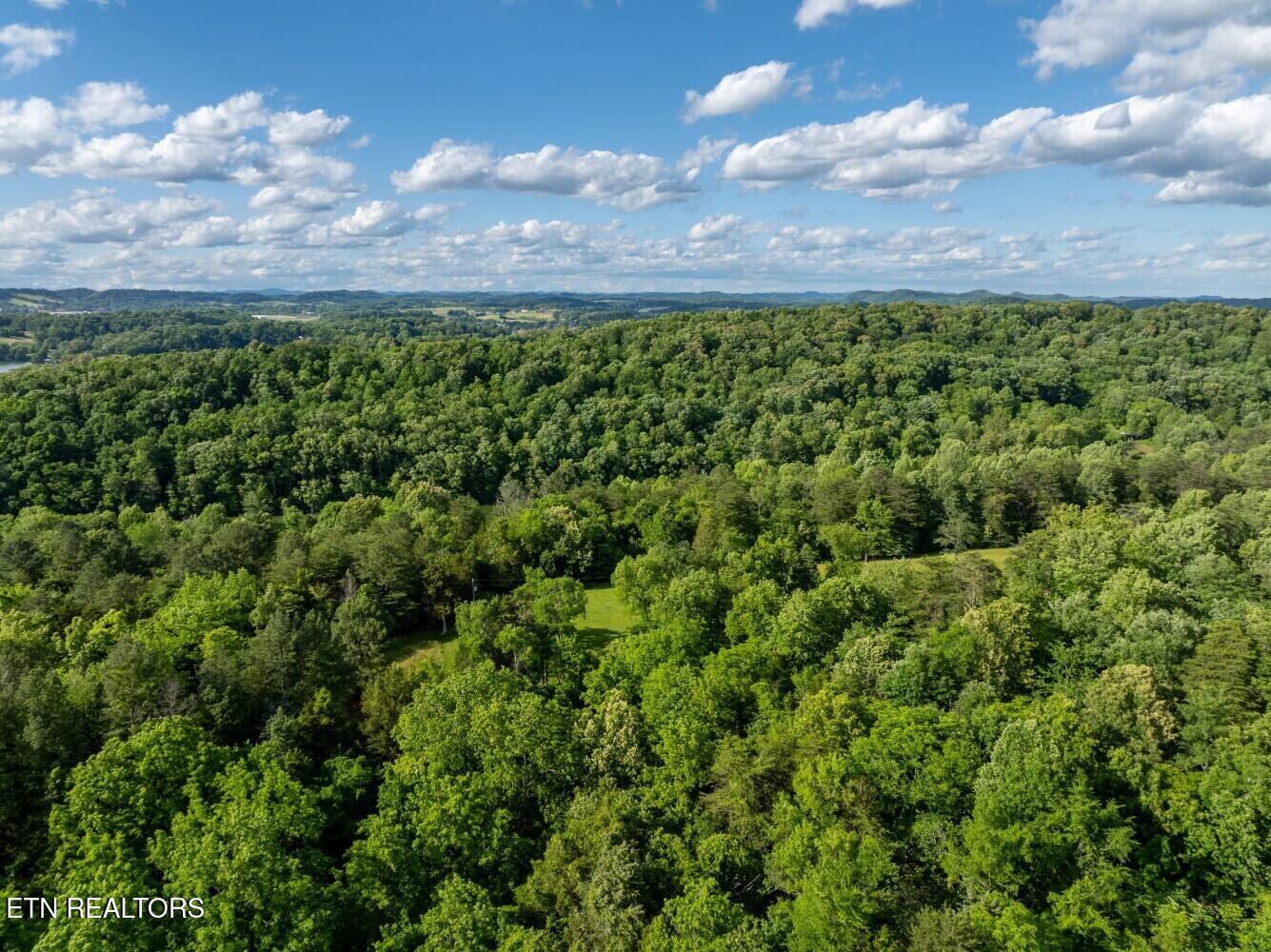 500 Geisler Road Piney Flats, TN 37686 - Photo 11 of 19 6835fe296f640
