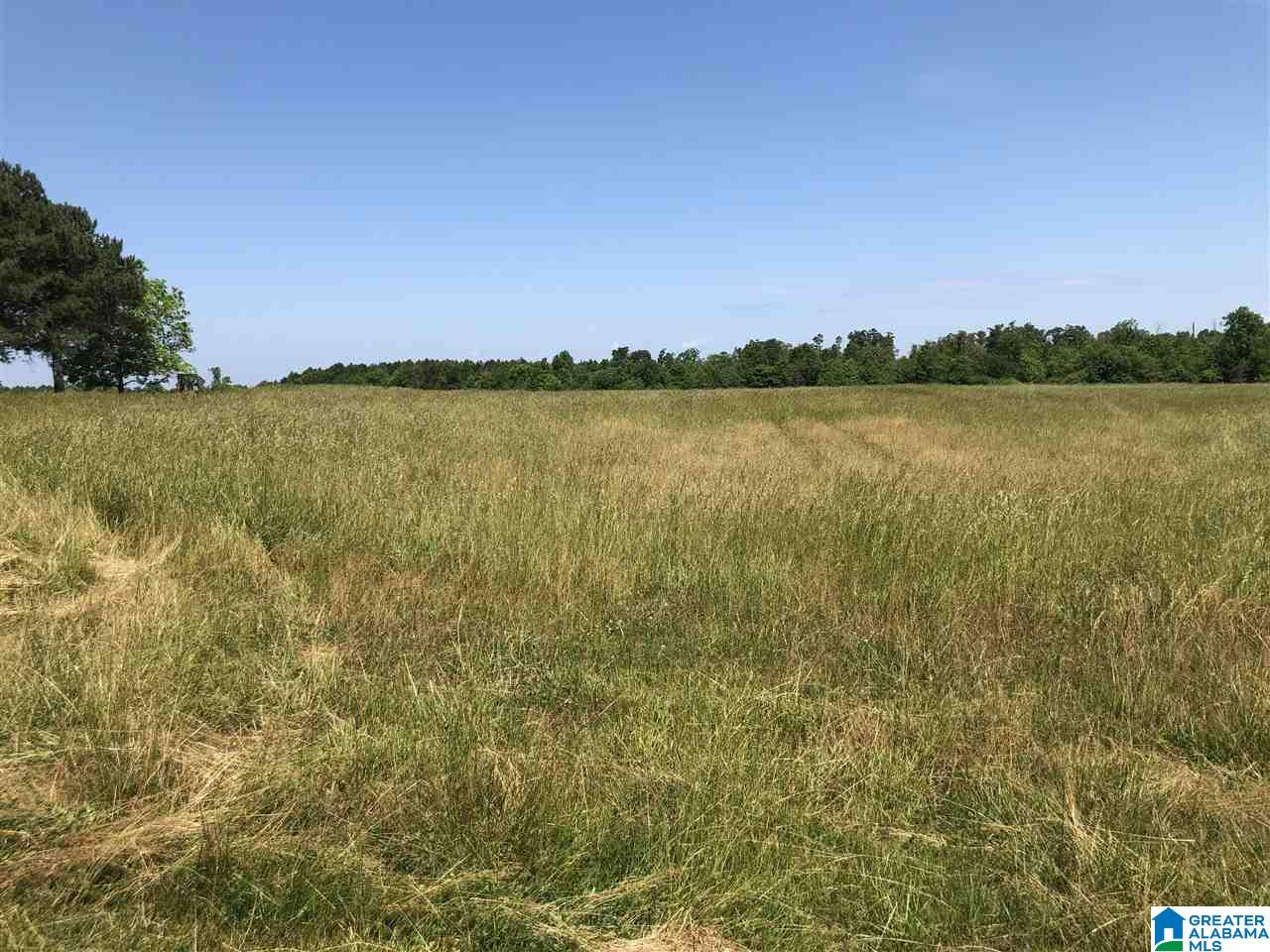 0 County Road 642 Henagar, AL 35978 - Photo 5 of 9