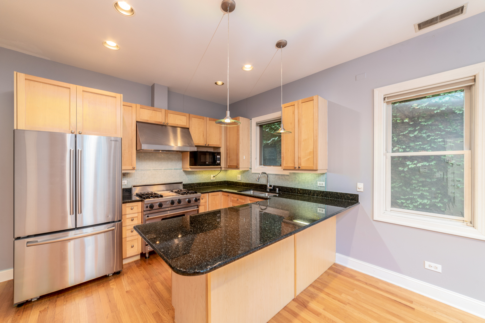 4425 North Racine Avenue, Unit 1S Chicago, IL 60640 - Photo 5 of 28 a kitchen with stainless steel appliances granite countertop a refrigerator a sink dishwasher a stove and a refrigerator with wooden floor
