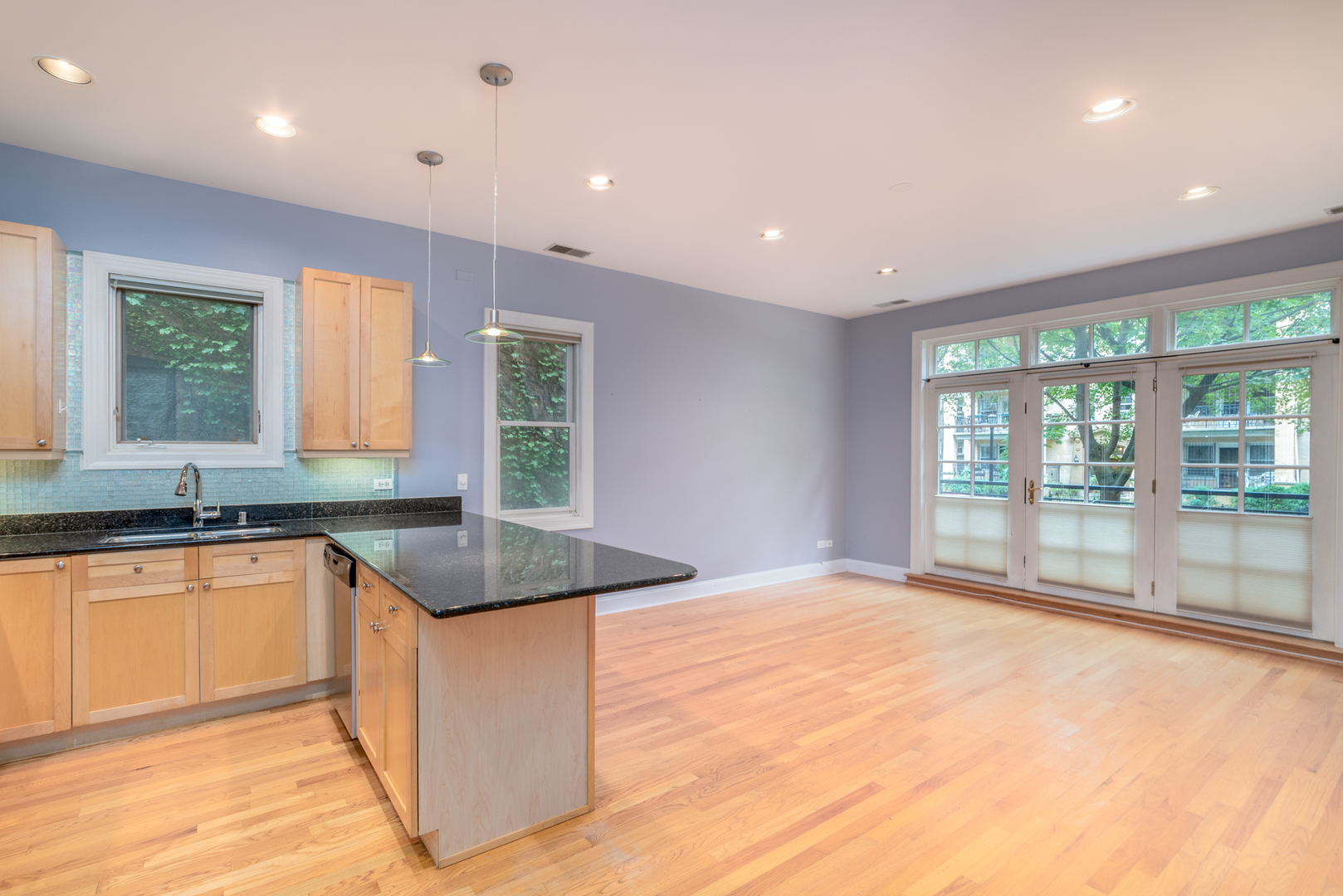 4425 North Racine Avenue, Unit 1S Chicago, IL 60640 - Photo 8 of 28 a large kitchen with granite countertop a sink and cabinets