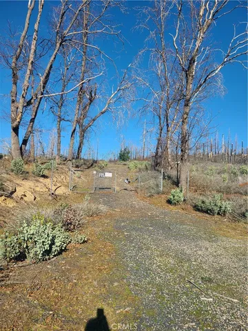 a view of dirt yard with a large tree