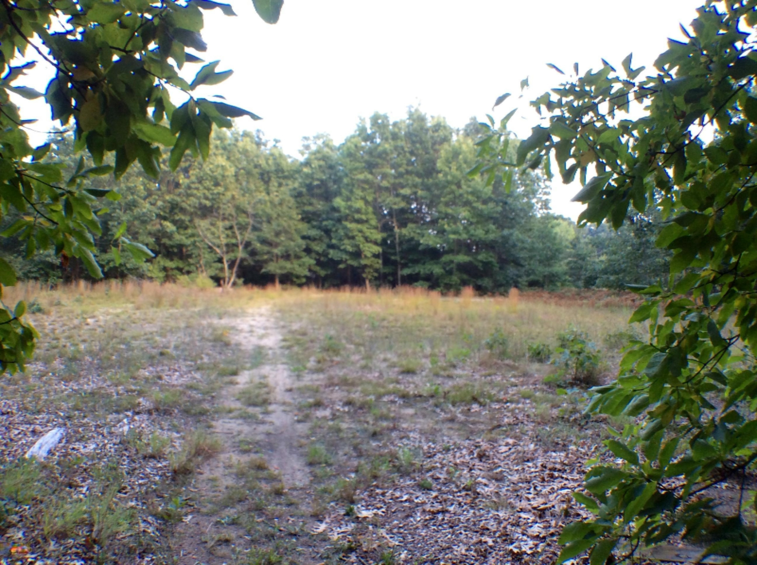 1488 Horton Road Muskegon, MI 49445 - Photo 25 of 31 IMG_3728
