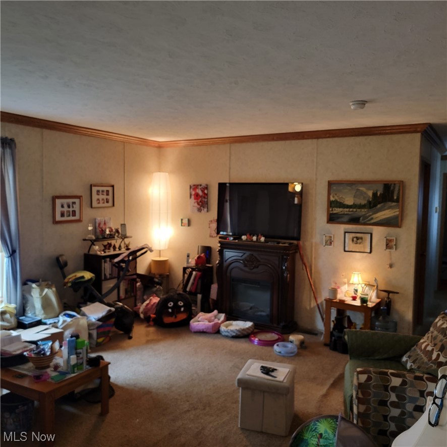 10900 Leader Road Chardon, OH 44024 - Photo 5 of 22 Gallery Image 5