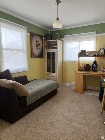 655 Molen Road Ferron, UT 84523 - Photo 8 of 18 Textured carpeting, white trim, and a ceiling-mounted light fixture