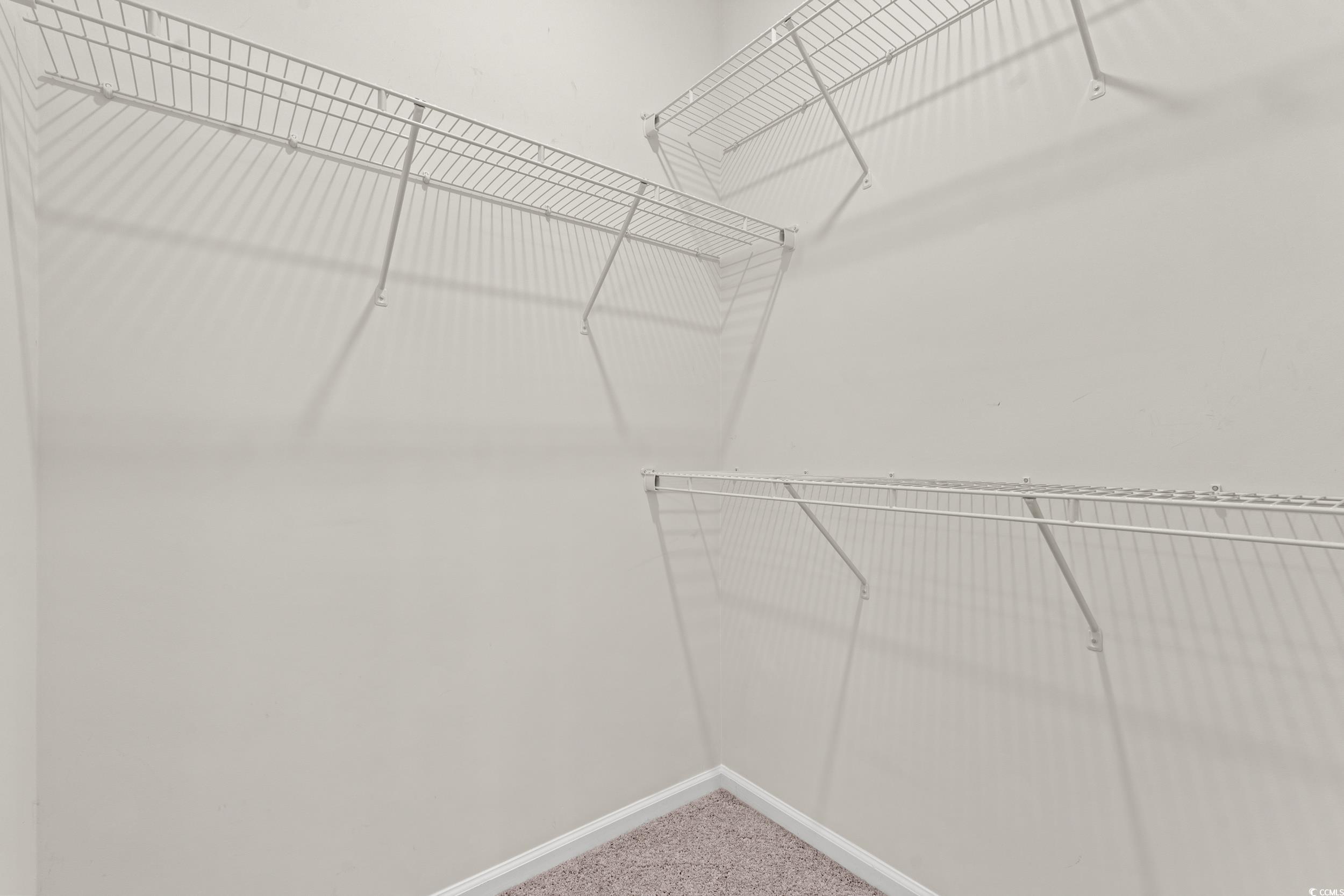 327 Fox Bay Road Loris, SC 29569 - Photo 11 of 23 Spacious closet featuring carpet.