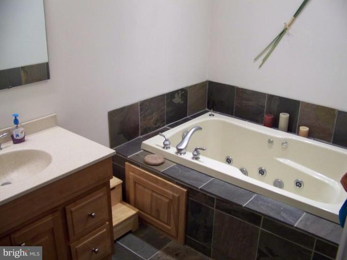20725 Keadle Road Boonsboro, MD 21713 - Photo 11 of 13 Master bath soaking tub