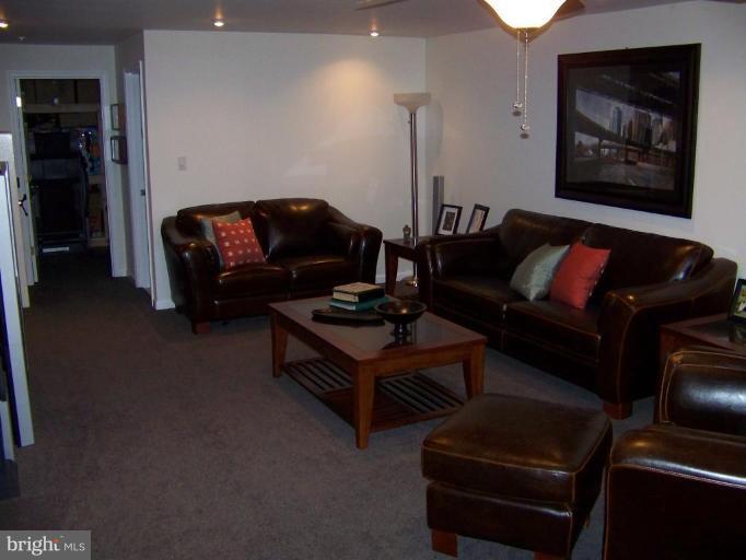 Lower level family room