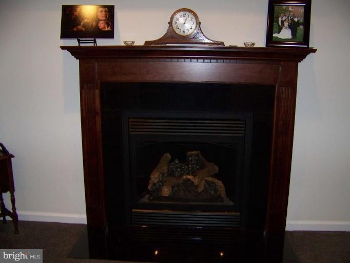 20725 Keadle Road Boonsboro, MD 21713 - Photo 9 of 13 Gas fireplace in family room