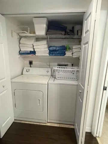 a view of a yard with plants and palm tree