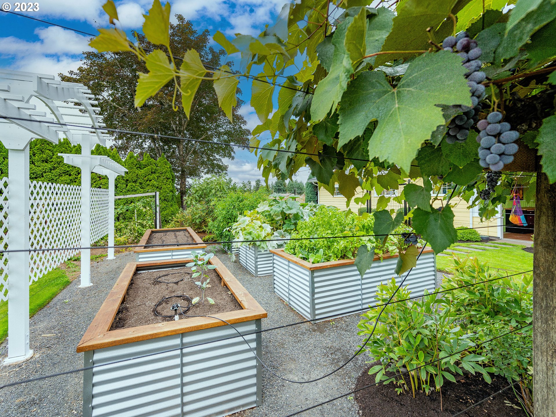 37692 Wheeler Road Dexter, OR 97431 - Photo 39 of 48 a view of an outdoor space with a garden