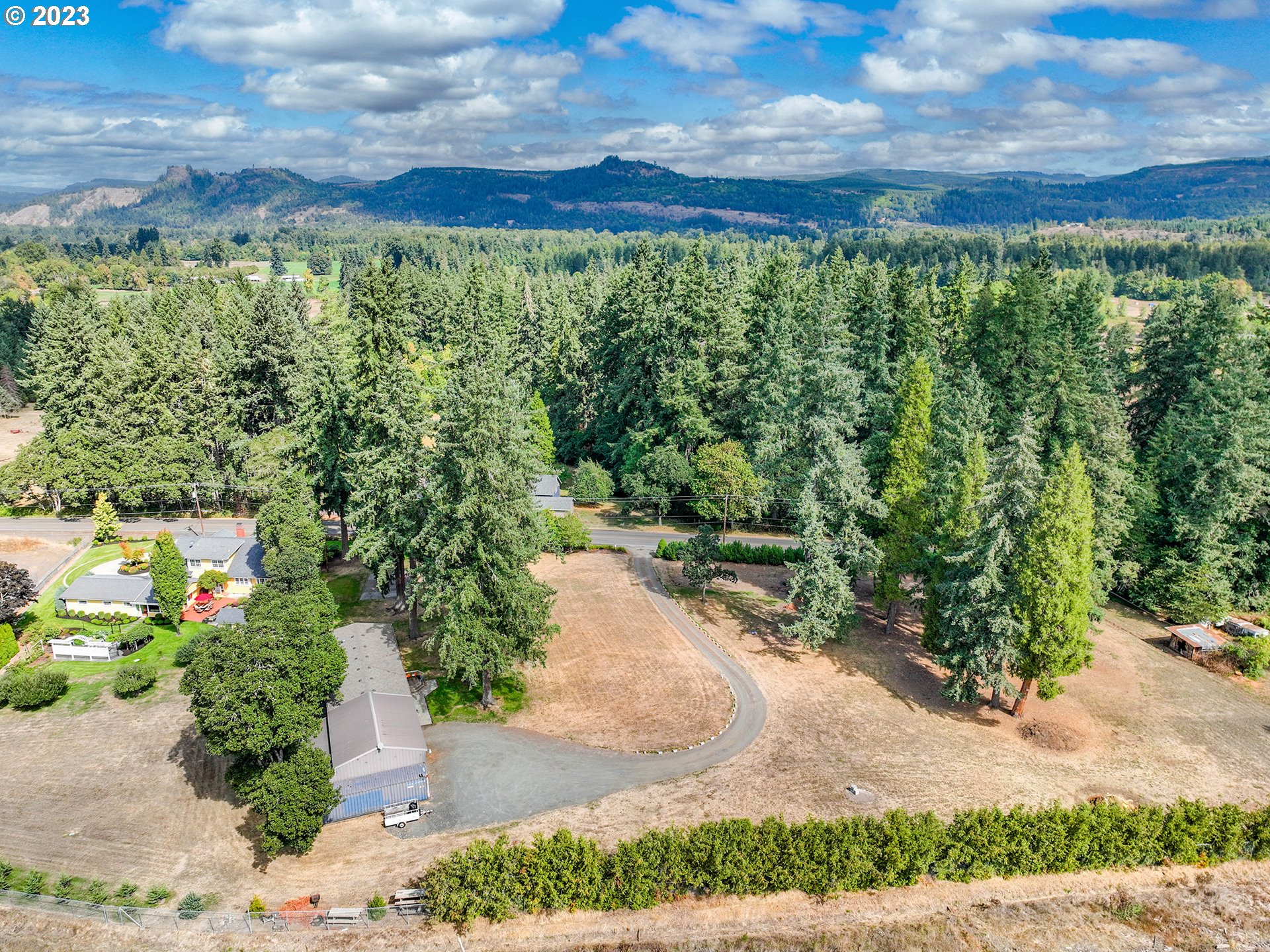 37692 Wheeler Road Dexter, OR 97431 - Photo 45 of 48 a view of a yard with potted plants
