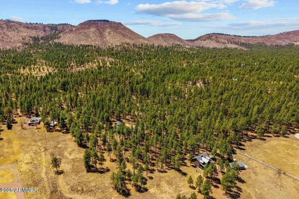 $980,000 | 61 County Road 2266, Alpine, AZ 85920