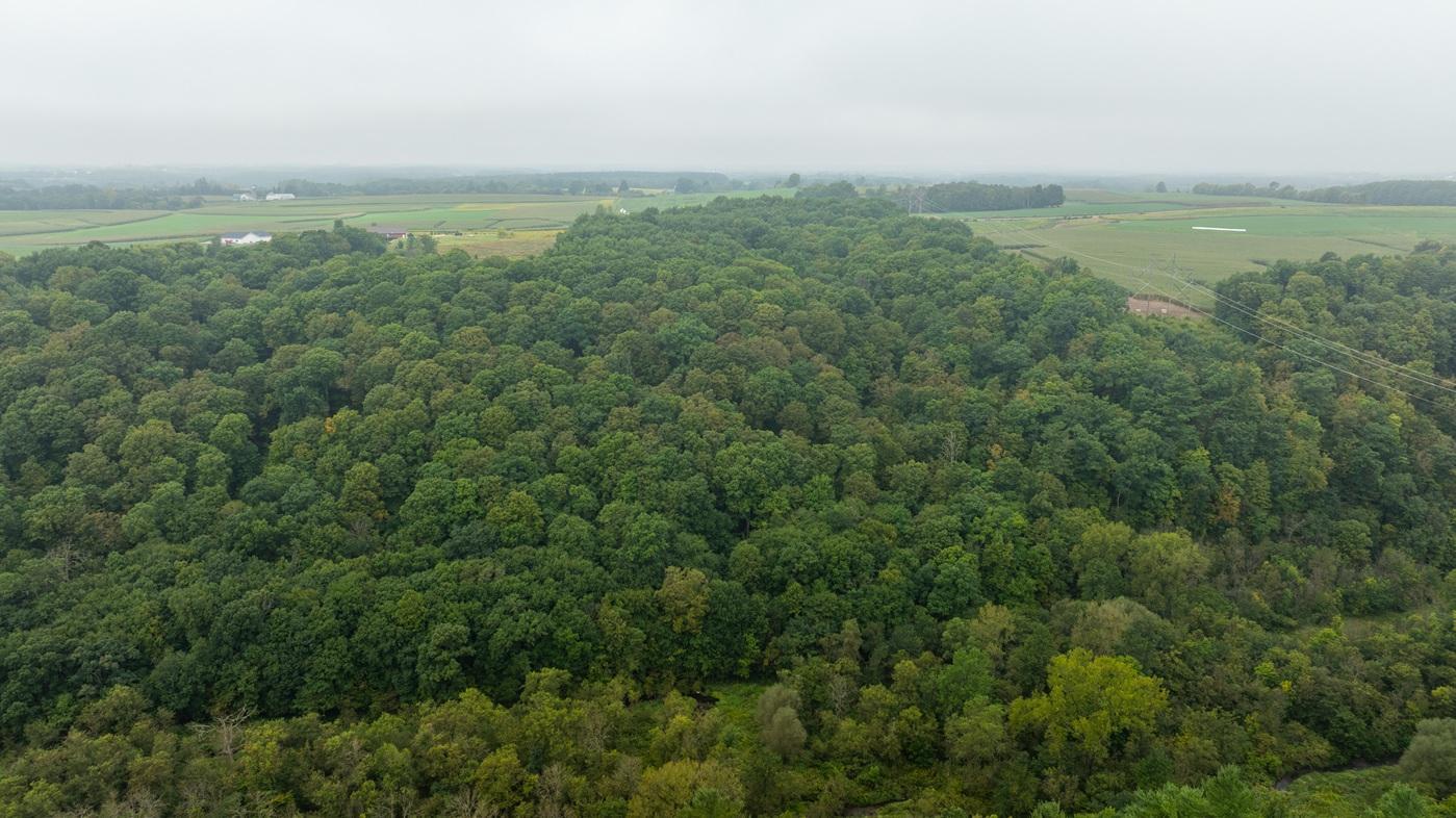 0 110th Street Spring Valley, WI 54767 - Photo 13 of 52 Gallery Image 13