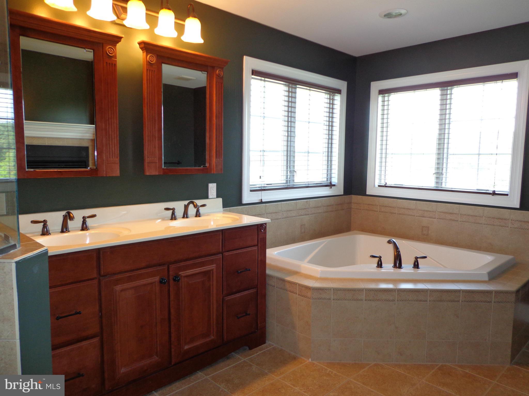 16010 Pleasure Point Ln Ridge Ridge, MD 20680 - Photo 22 of 26 Master Bath