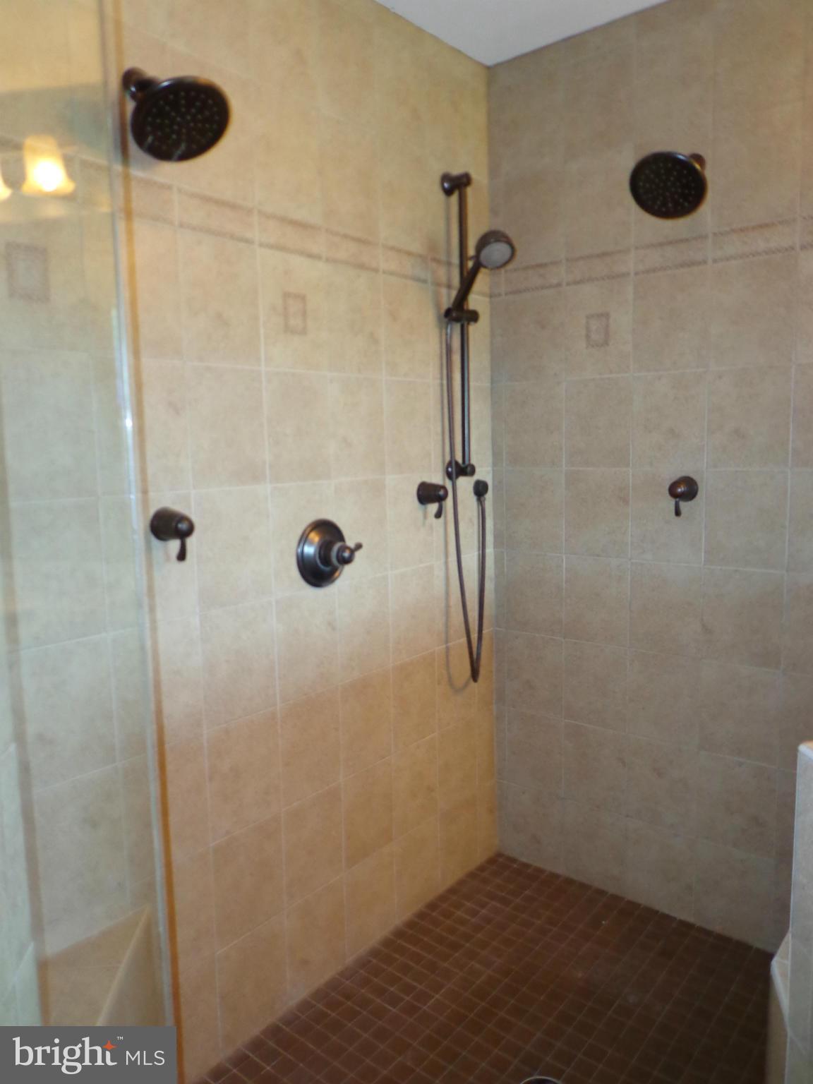 16010 Pleasure Point Ln Ridge Ridge, MD 20680 - Photo 23 of 26 Huge shower with dual shower heads