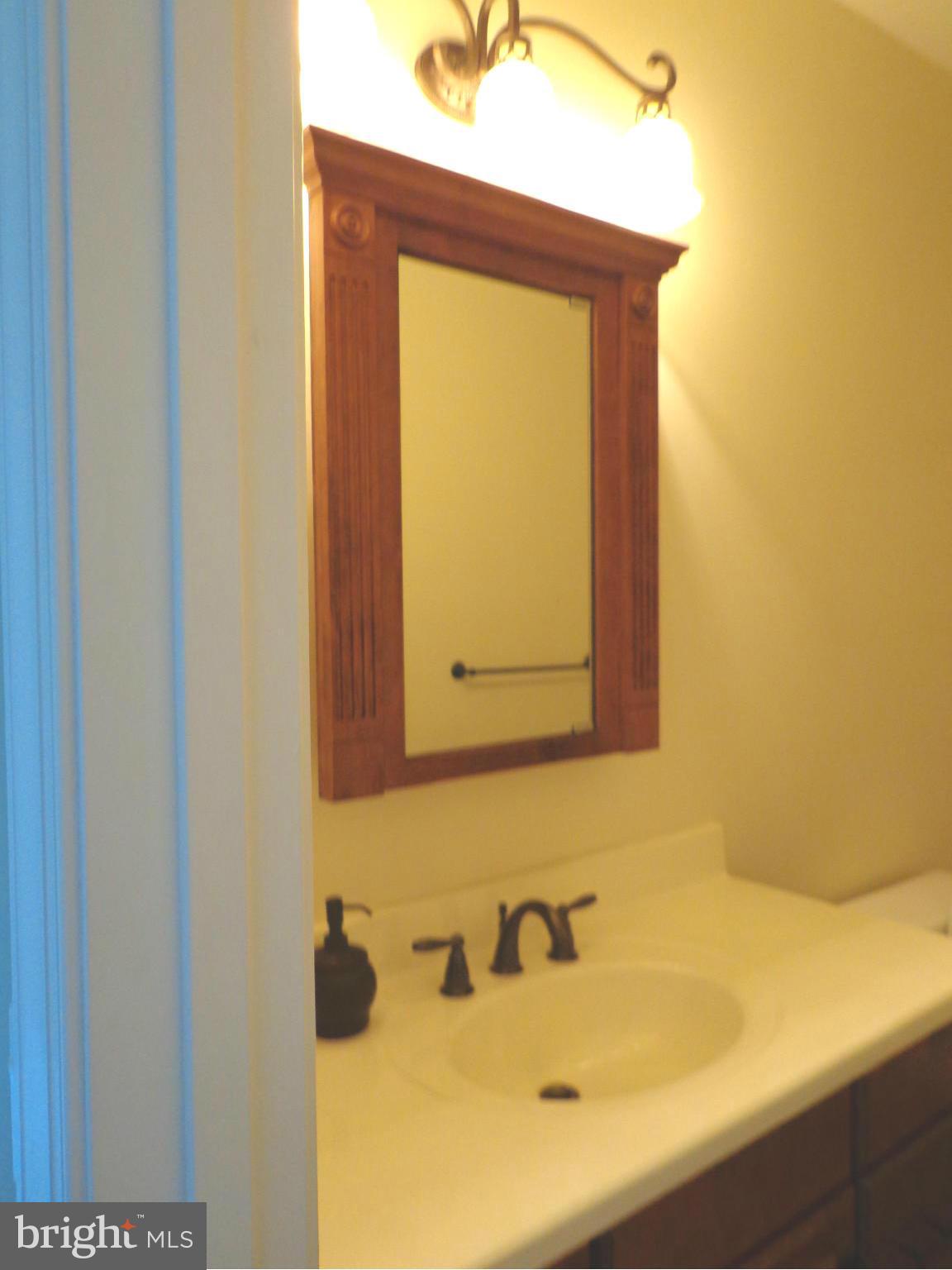 16010 Pleasure Point Ln Ridge Ridge, MD 20680 - Photo 25 of 26 Full bath on main level