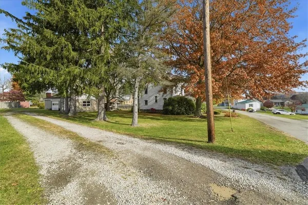 a view of a park with large trees