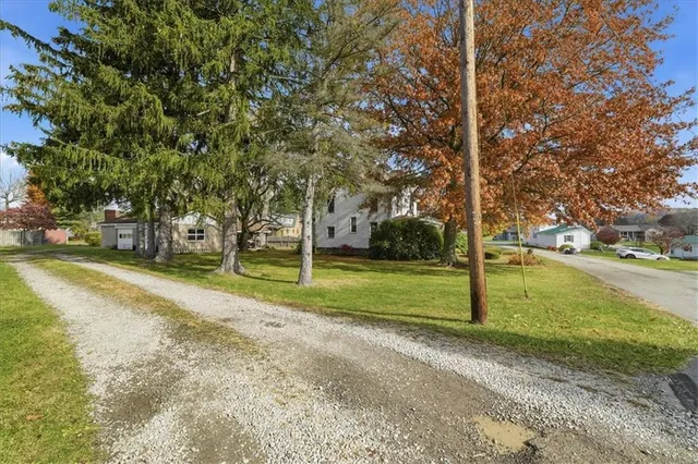 a view of a park with large trees