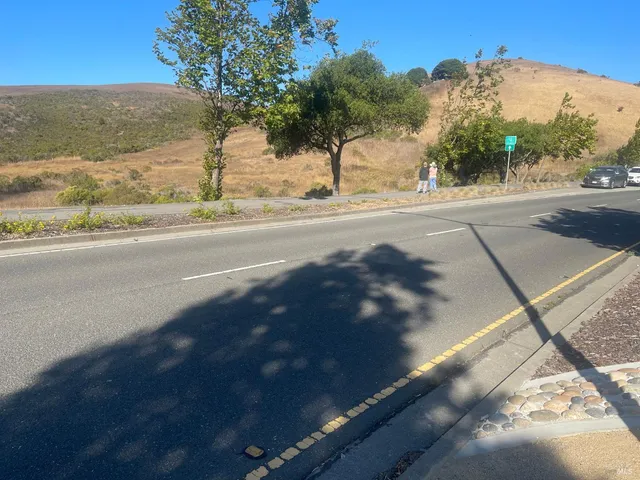a view of a yard and cars parked on the side of the road