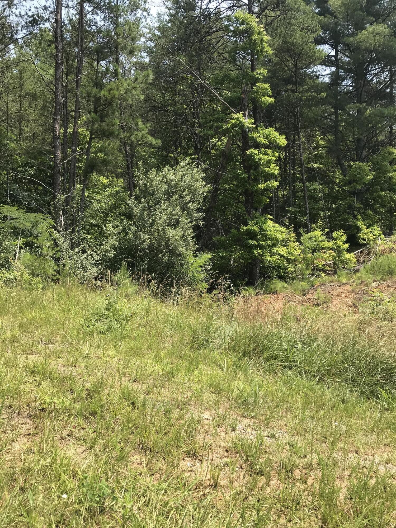 0 Highway 68 Copperhill, TN 37317 - Photo 2 of 6