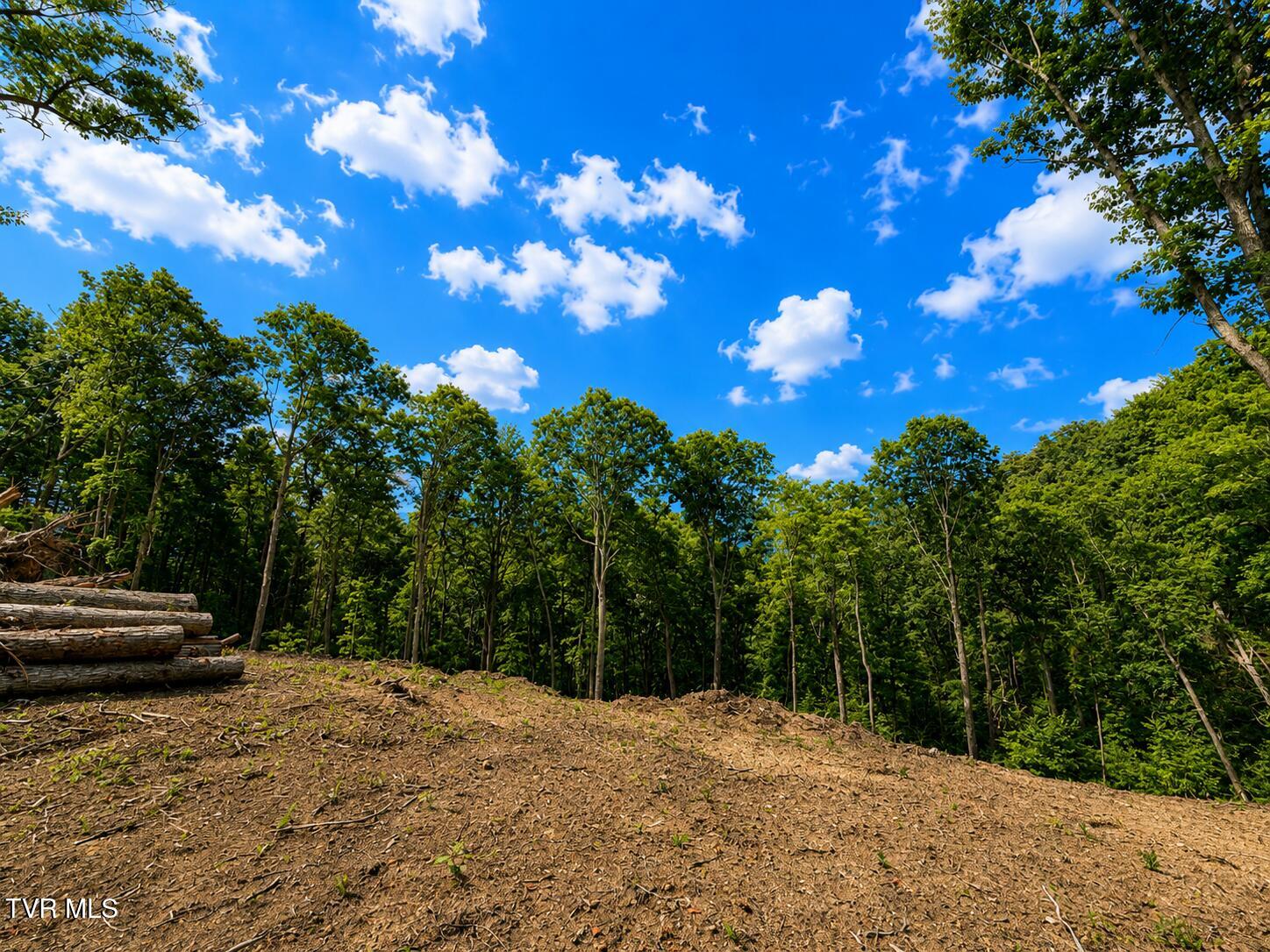 Tbd Heaton Branch Road Butler, TN 37640 - Photo 4 of 9 A8F12827-1412-4302-AD9C-3EF3E2F80109