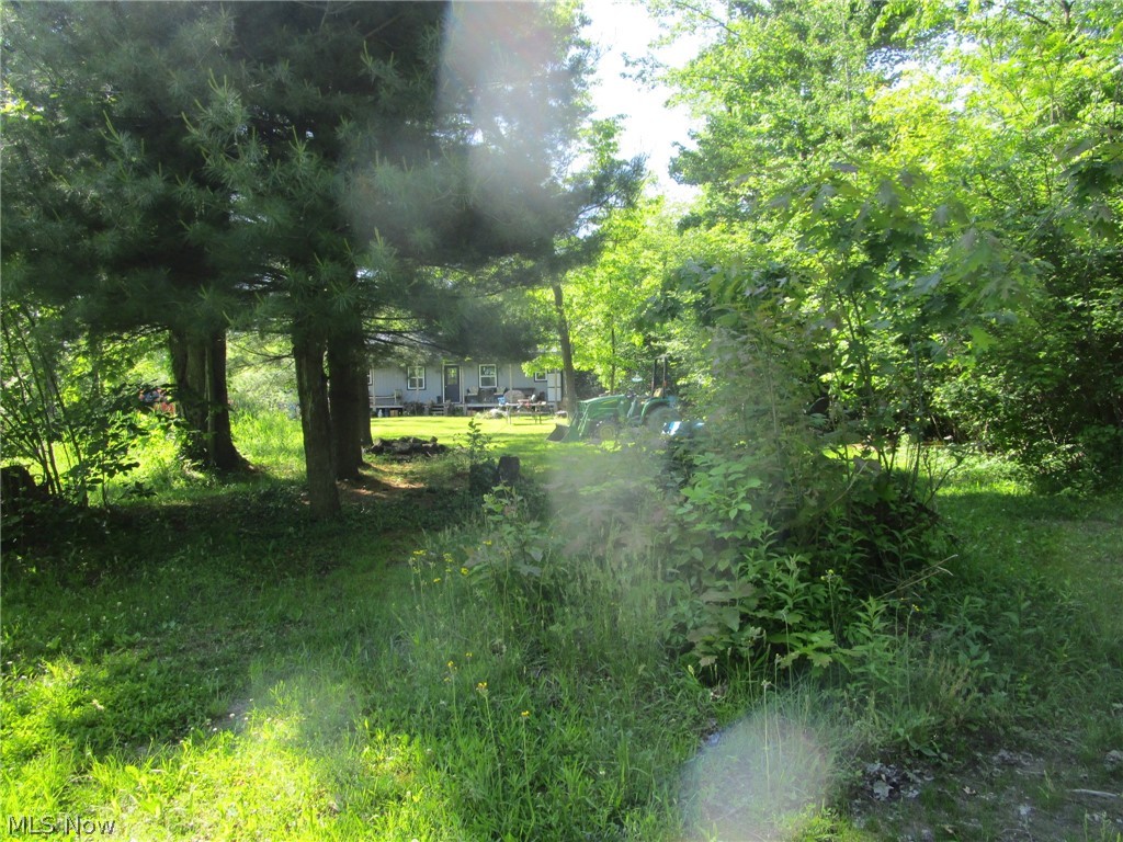 4293 Bulah Road Jefferson, OH 44047 - Photo 14 of 46