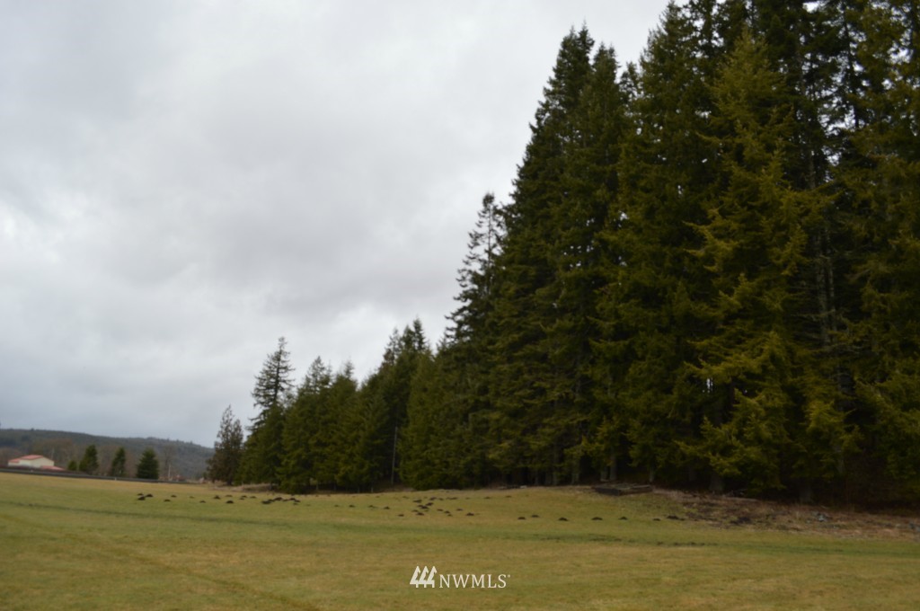 5 Green Creek Road Raymond, WA 98577 - Photo 14 of 21 Gallery Image 14