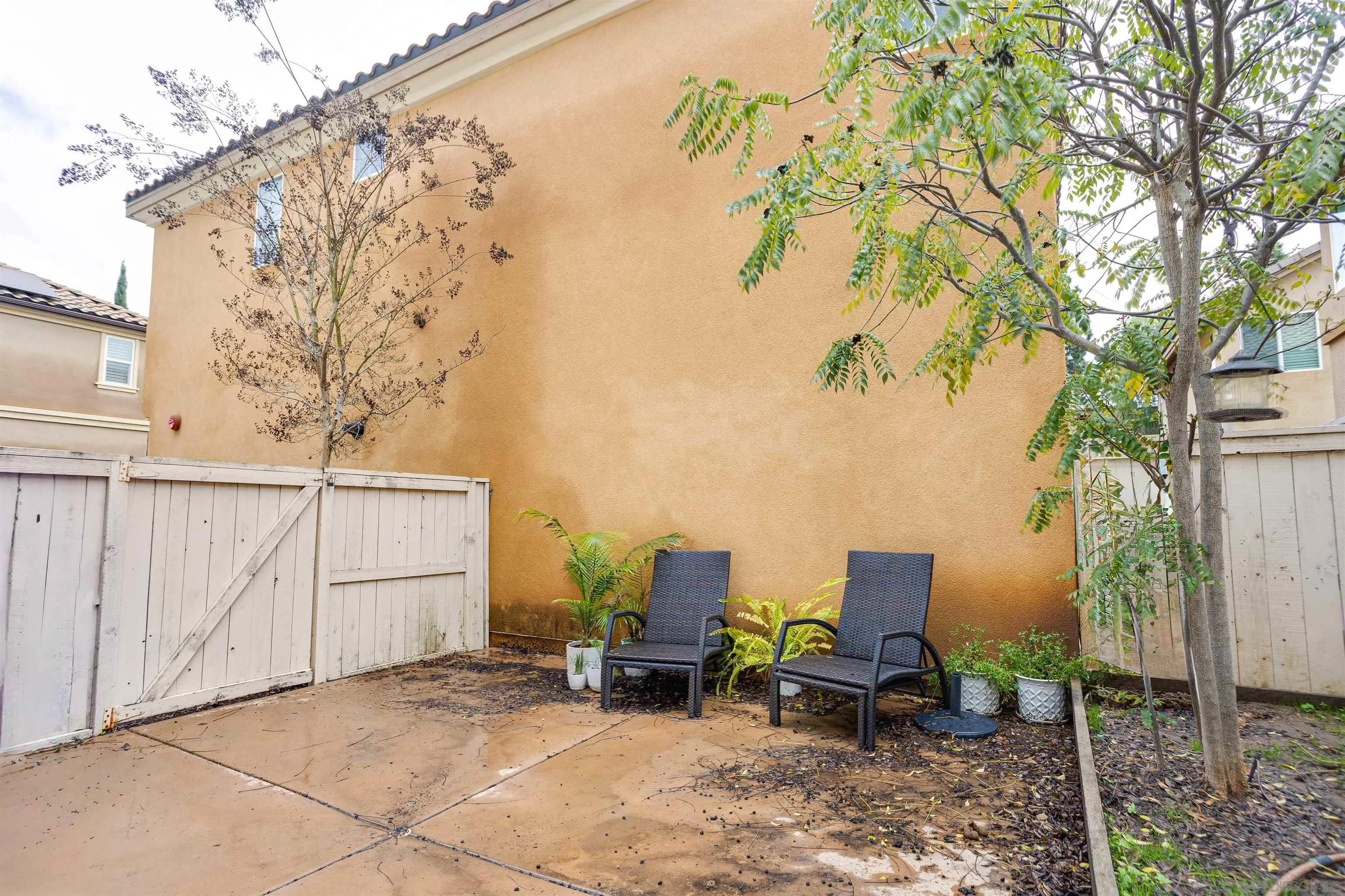 1447 Chert Drive San Marcos, CA 92078 - Photo 22 of 28 a view of backyard with wheel chair and potted plants