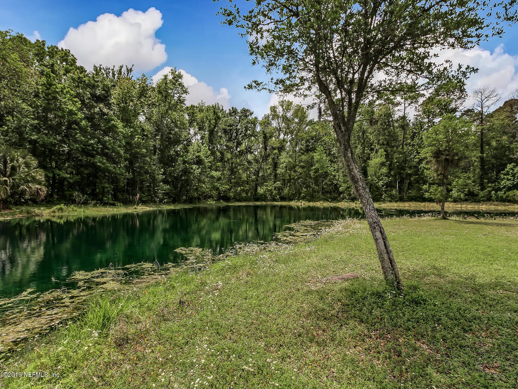 86051 Ellis Estates Landing Road Yulee, FL 32097 - Photo 27 of 35 a backyard of a house with lots of green space