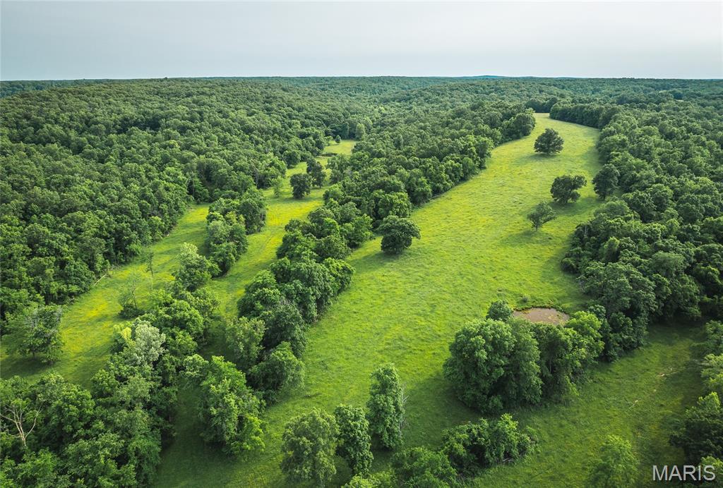 Undisclosed Address Cook Sta, MO 65449 - Photo 39 of 64