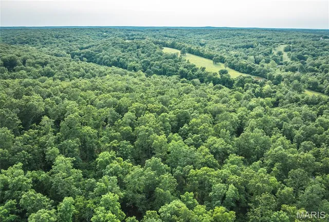 $3,382,010 | Undisclosed Address, Cook Sta, MO 65449