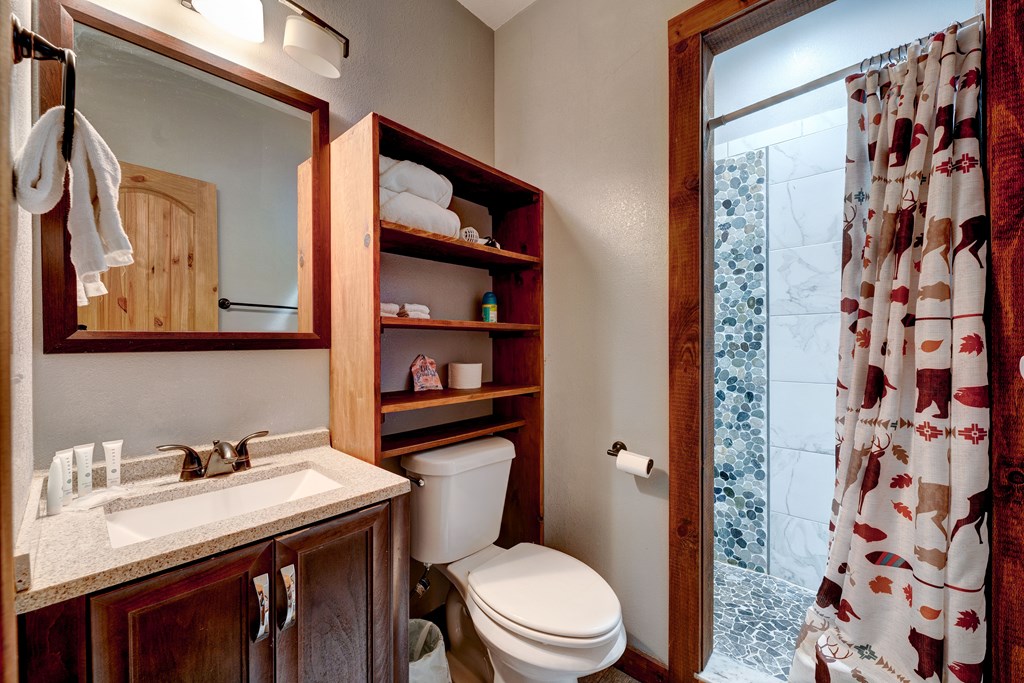 323 Stanley Creek Road Blue Ridge, GA 30513 - Photo 45 of 82 Gallery Image 45