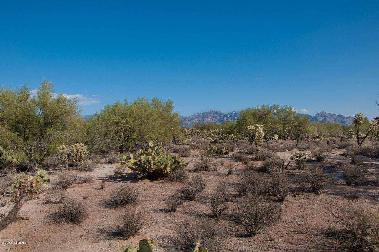 3474 West Moore Road, Unit G Marana, AZ 85658 - Photo 14 of 16 Gallery Image 14