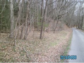 0 Powder Hollow Road Unicoi, TN 37692 - Photo 9 of 13 Photo 9