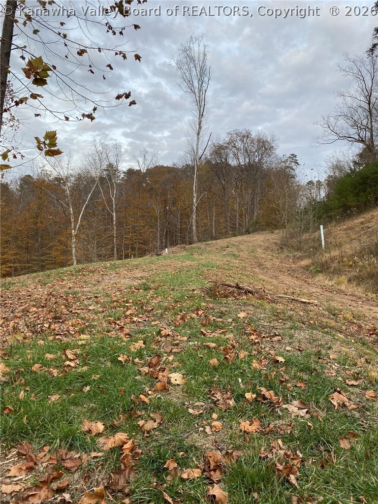 0 Poca River Road Poca, WV 25159 - Photo 16 of 30 Gallery Image 16