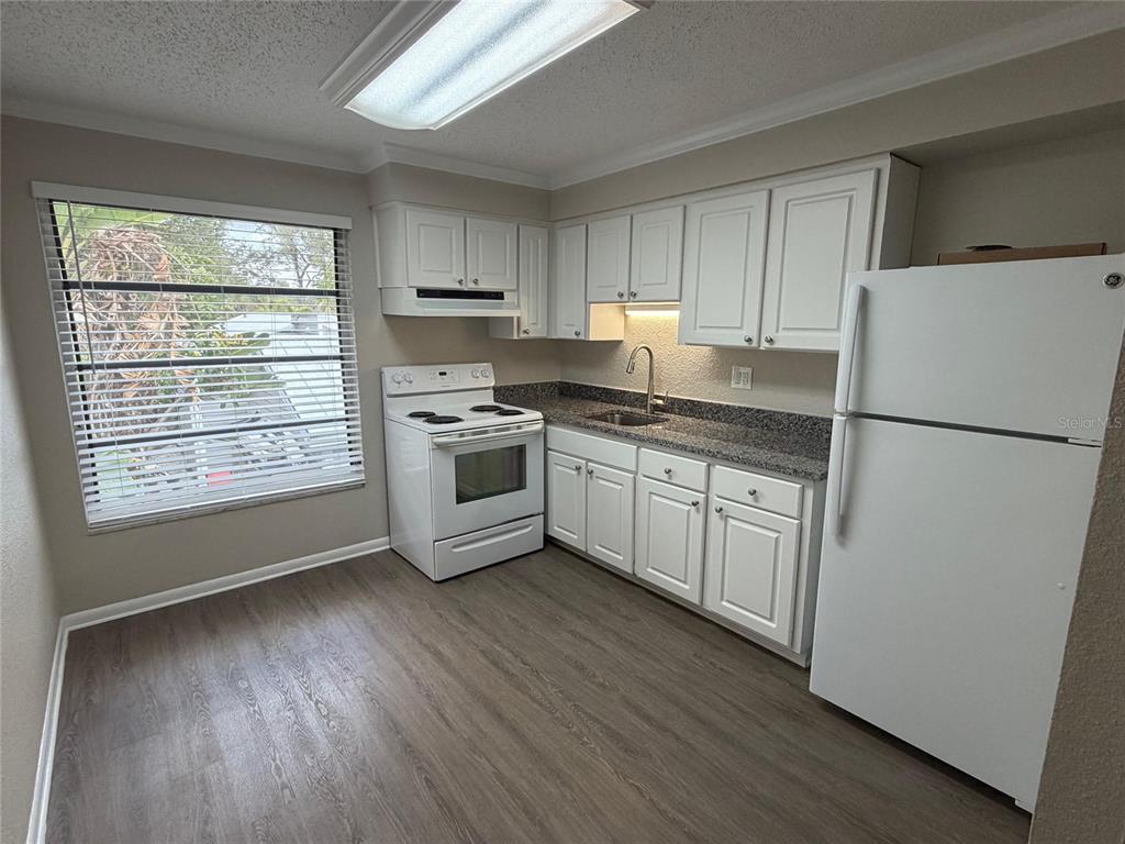 460 Beltrees Street, Unit C Dunedin, FL 34698 - Photo 4 of 16