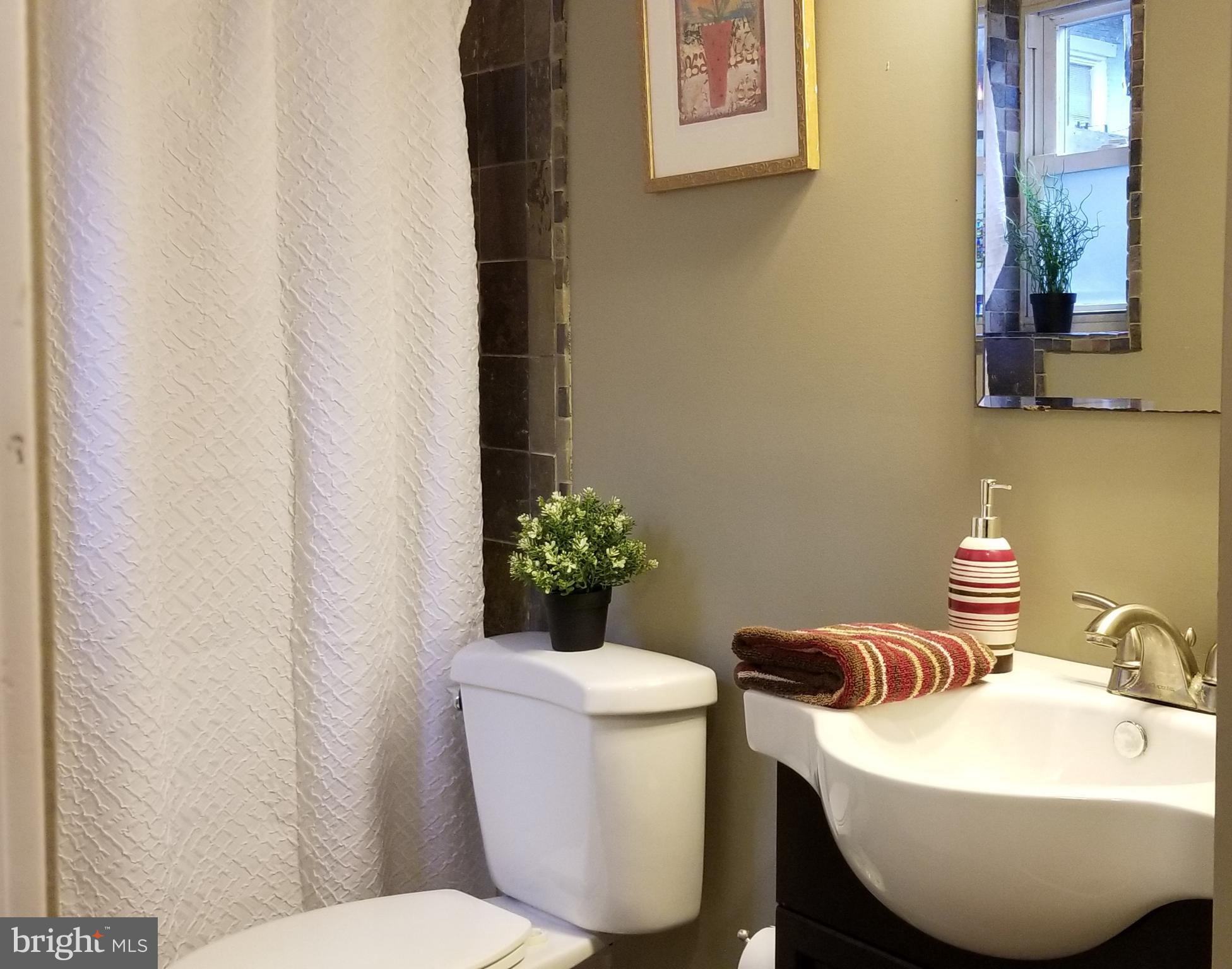 313 South Madeira Street Baltimore, MD 21231 - Photo 14 of 22 Bath view