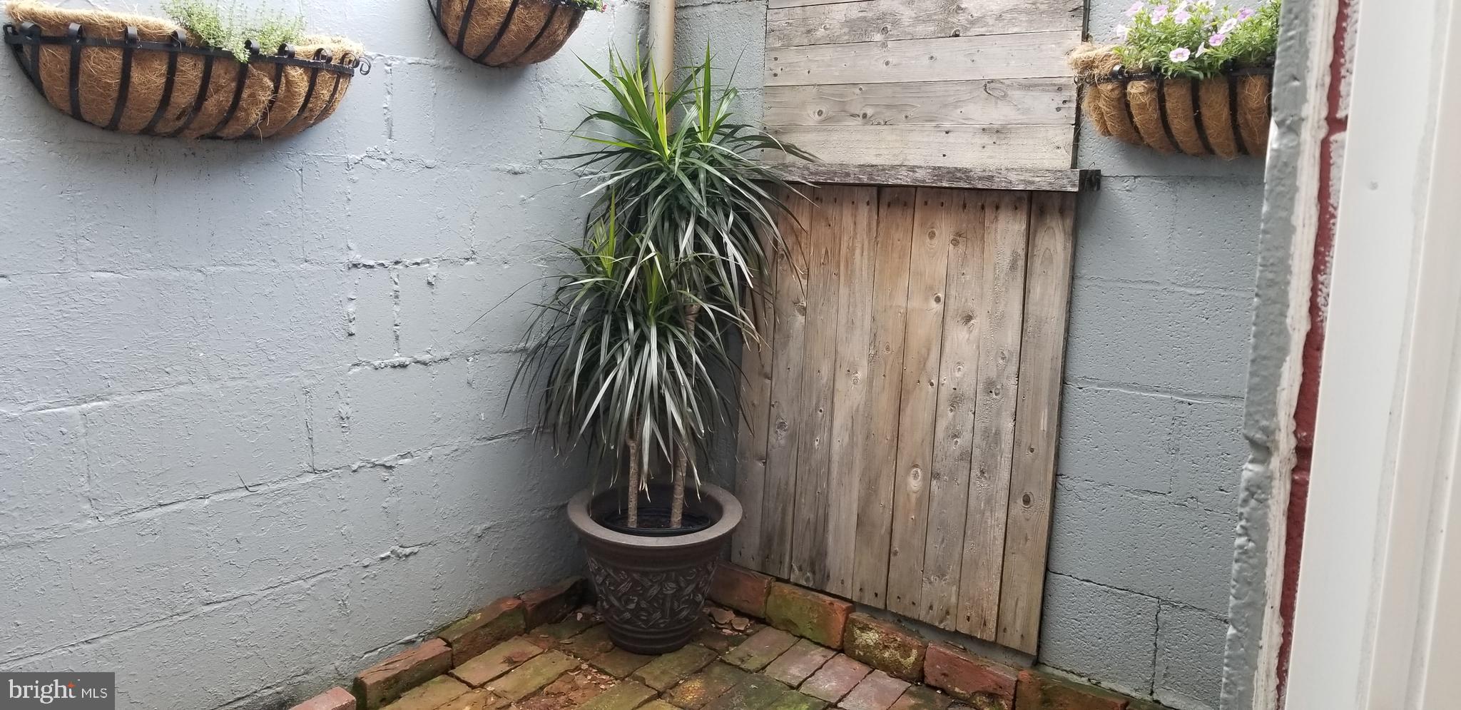 313 South Madeira Street Baltimore, MD 21231 - Photo 20 of 22 Private patio view